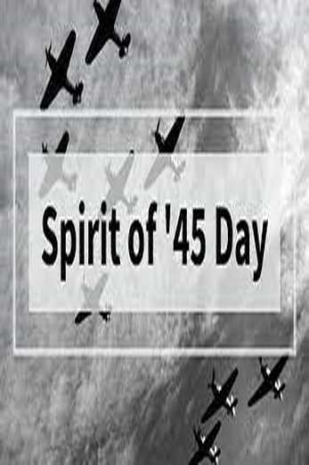 دانلود فیلم The Spirit of 45 2013